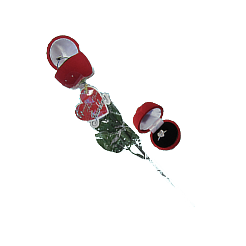 8-307